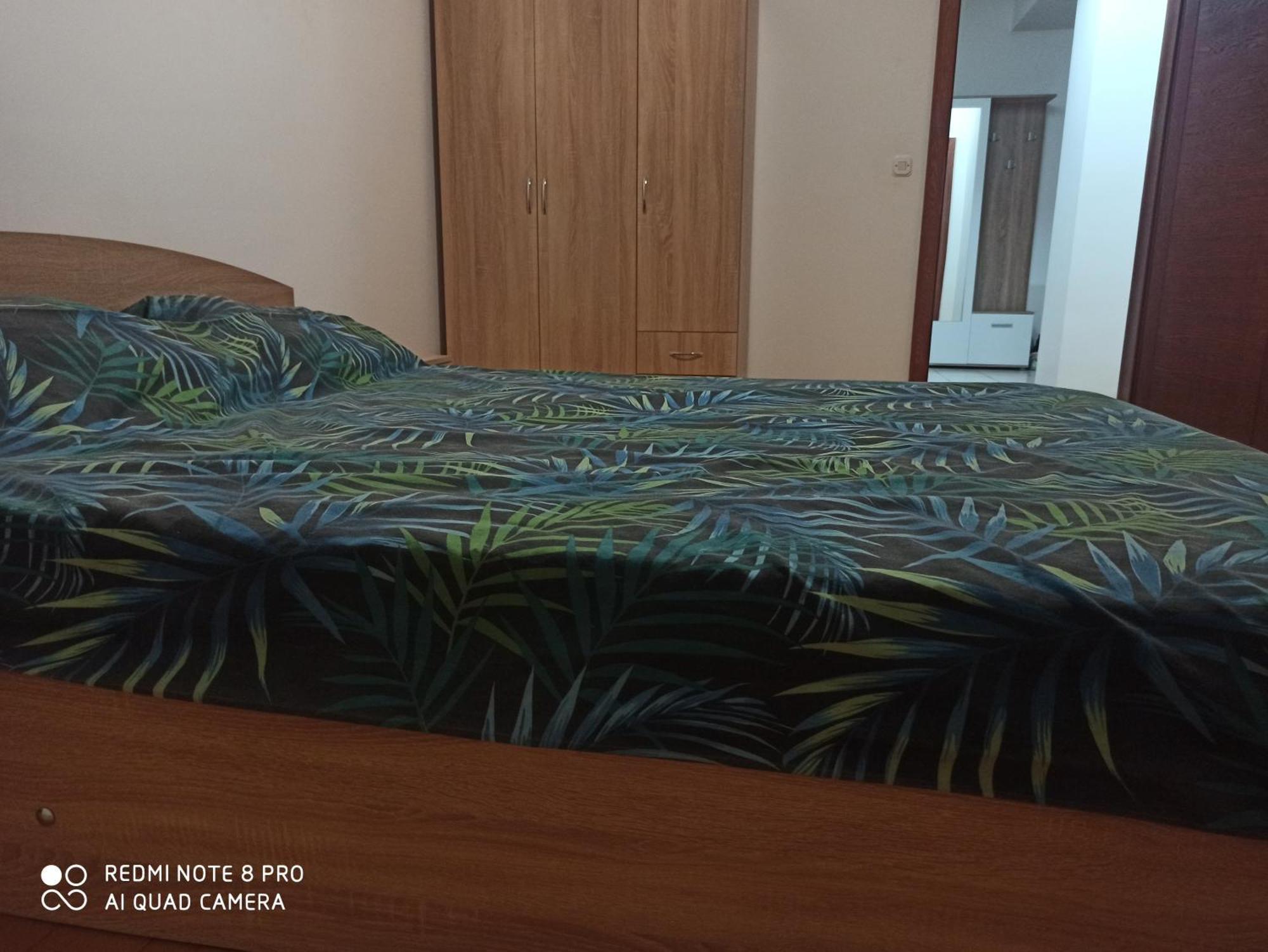 Panimis Apartment 斯科普里 外观 照片